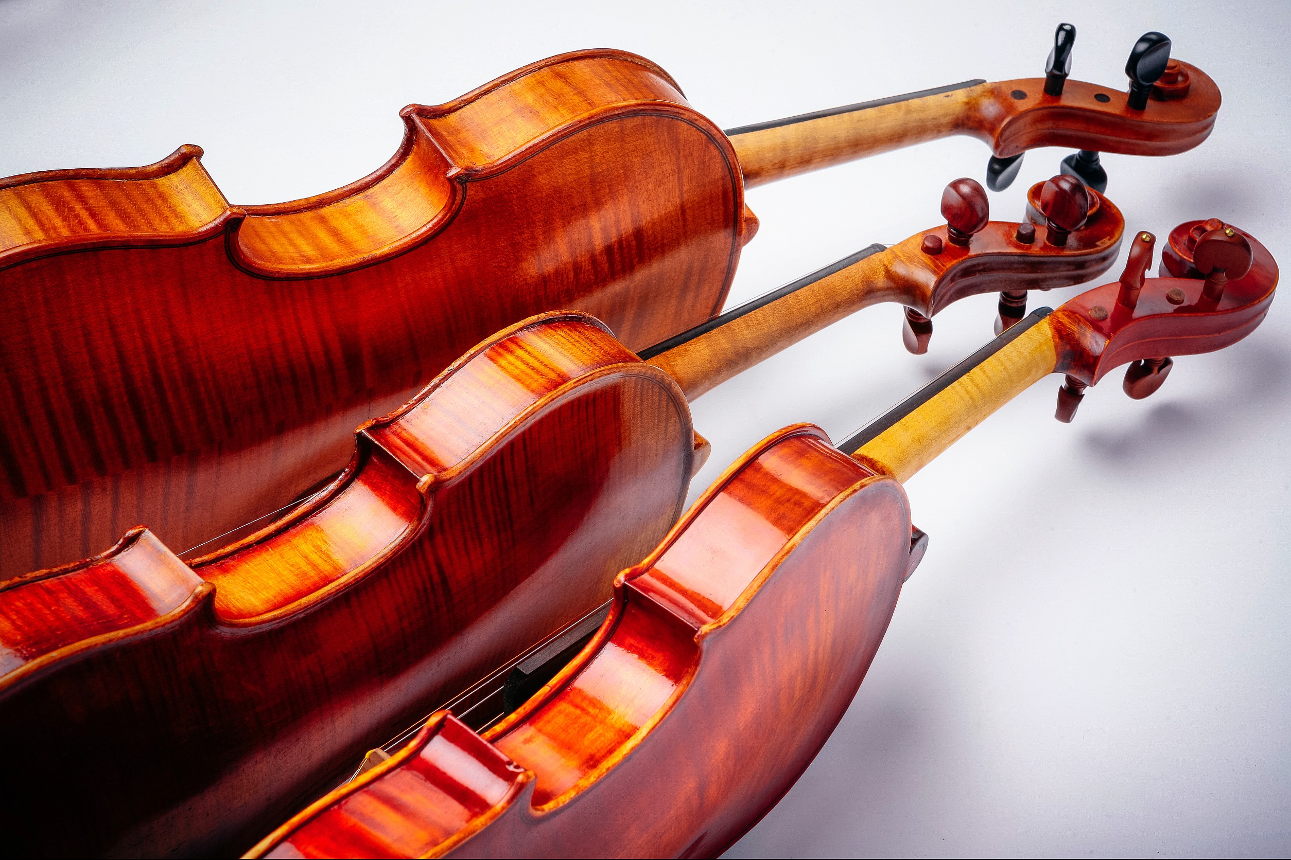 Independent Levels 3 & 4 Violin Teacher Training Course GERMANY