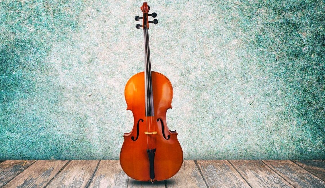 Violoncello Teacher Training returns to HUNGARY!